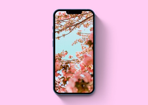 Hình nền iPhone mùa xuân