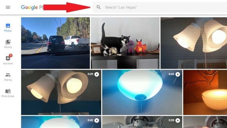 Bắt đầu tìm kiếm trên Google Photos