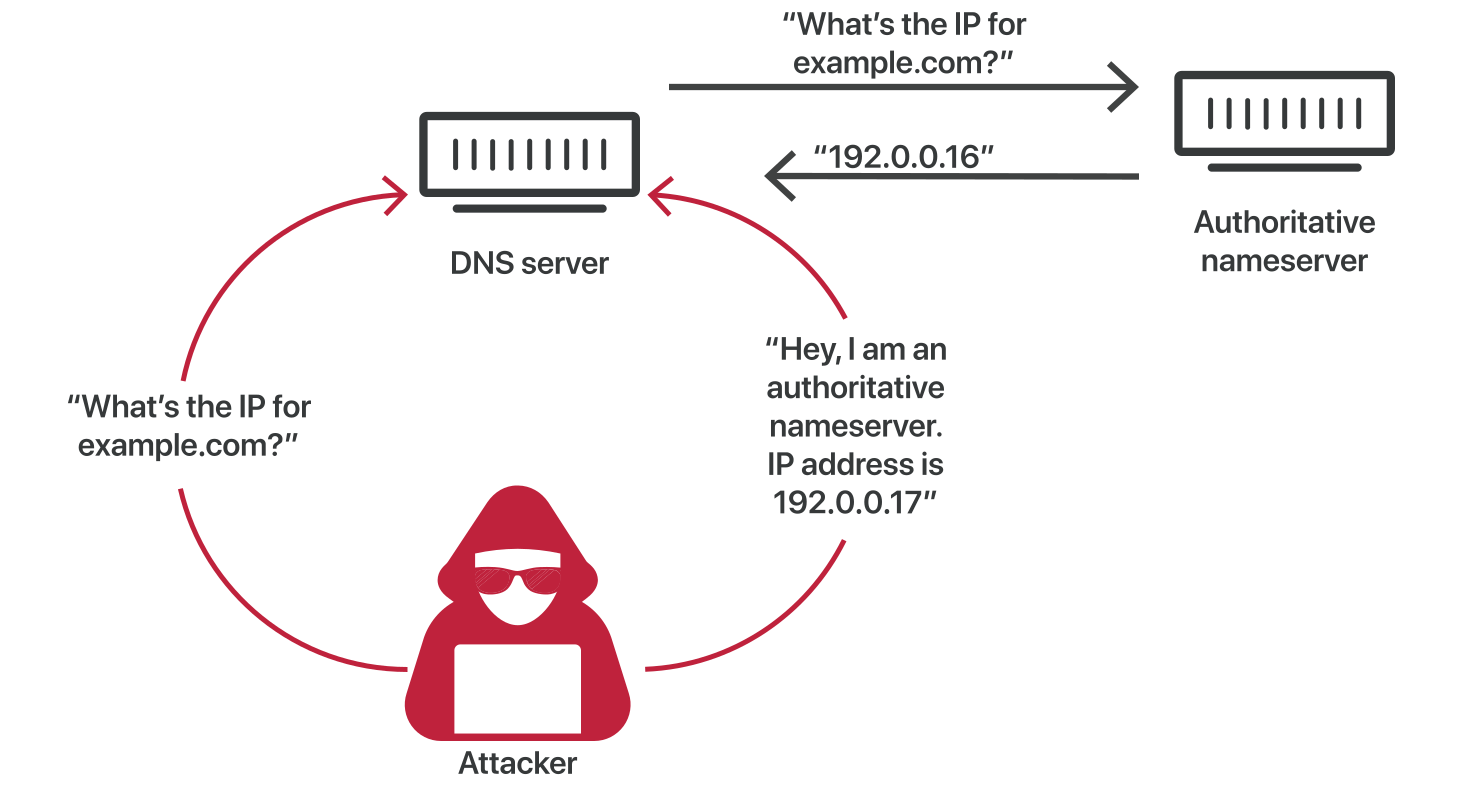 Lược đồ nhiễm độc DNS