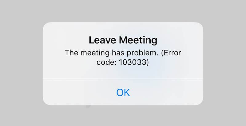 Rời khỏi cuộc họp-cuộc họp-sự cố-lỗi-mã-103033-on-Zoom-app